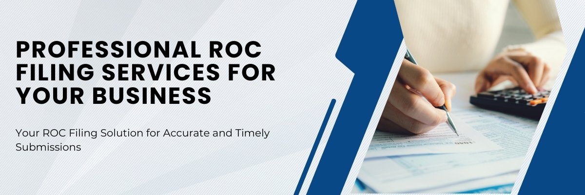 Company Audit & ROC Filing